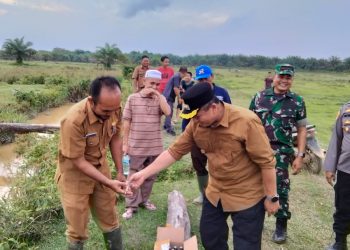 Cepat Tanggap, Pj. Bupati Sarolangun Tinjau Langsung Lokasi Wabah Penyakit yang Menyerang Ternak Kerbau