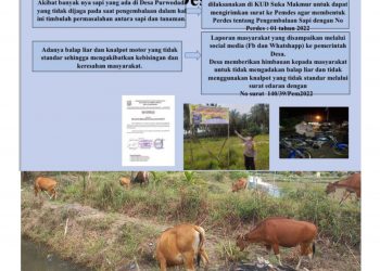 Selesaikan Konflik Peternak Sapi Dan Petani Sawit, Desa Purwodadi Keluarkan Perdes