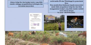 Selesaikan Konflik Peternak Sapi Dan Petani Sawit, Desa Purwodadi Keluarkan Perdes