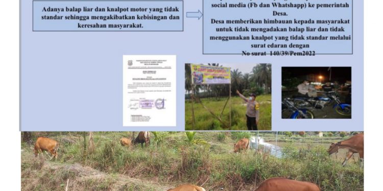 Selesaikan Konflik Peternak Sapi Dan Petani Sawit, Desa Purwodadi Keluarkan Perdes