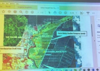 Waka DPRD Sebut Perda RTRW Tak Mengatur Batas, Tapi di Peta SHP Tanjabtim Caplok Tanjabbar