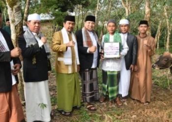 PJ Bupati Sarolangun Serahkan 7 Hewan Qurban