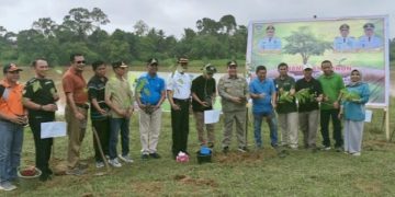 Ajak para opd, Pj bupati sarolangun melakukan kegiatan penanaman pohon
