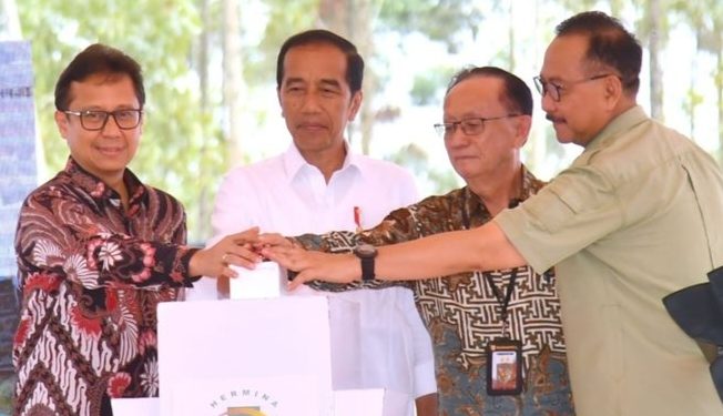 Tiga Rumah Sakit Unggulan Disiapkan di IKN