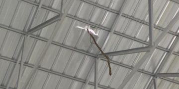 Ketua HIMASTE Soroti Pembangunan Gedung Olahraga di Desa Penapalan yang Diduga Asal-asalan