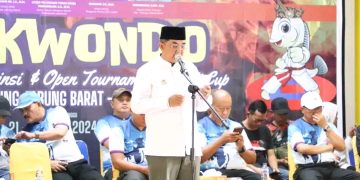 Kejuaraan Provinsi dan Open Turnamen Bupati Cup Taekwondo 2024 Resmi Dibuka!