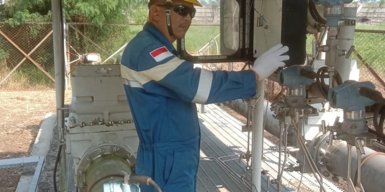 SKK Migas Tetapkan Standarisasi Pengukuran CO2 Pada Program CCS/CCUS