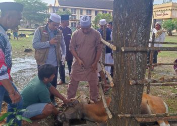 Mako Brimob Polda Jambi Sembelih 12 Hewan Kurban di Idul Adha 1445 H