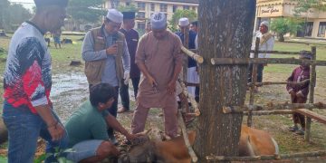 Mako Brimob Polda Jambi Sembelih 12 Hewan Kurban di Idul Adha 1445 H