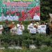 Panen Cabai Merah di Mangun Jayo, Al Haris Puji Inovasi Bupati Bungo