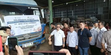 Mendag Zulhas Lepas Ekspor Pinang Jambi ke India dan Banglades