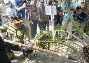 Gubernur Al Haris: Aksi Nyata PLTB Buahkan Hasil yang Memuaskan