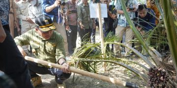 Gubernur Al Haris: Aksi Nyata PLTB Buahkan Hasil yang Memuaskan