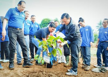 Hari Lingkungan Hidup Sedunia 2024, Gubernur Al Haris Ajak Berkomitmen Jaga Lingkungan