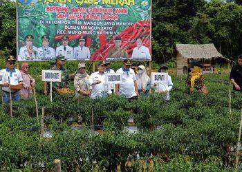 Program Dumisake Gubernur Al Haris: Gelontorkan Rp 10,8 Miliar untuk Penguatan Pangan di Jambi