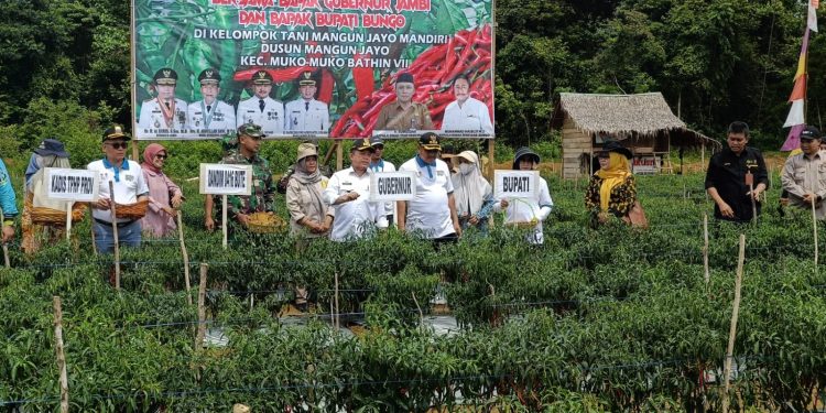 Program Dumisake Gubernur Al Haris: Gelontorkan Rp 10,8 Miliar untuk Penguatan Pangan di Jambi