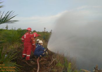 SKK Migas – PetroChina Jabung Berperan Penting dalam Penanganan Karhutla Jambi