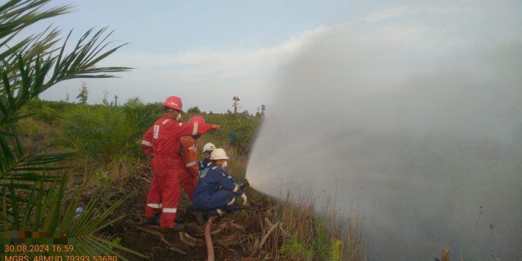 SKK Migas – PetroChina Jabung Berperan Penting dalam Penanganan Karhutla Jambi