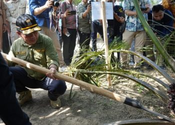 Aksi Nyata PLTB Buahkan Hasil Yang Memuaskan, Gubernur Al Haris: Pertanda Baik Bagi Warga