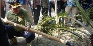 Aksi Nyata PLTB Buahkan Hasil Yang Memuaskan, Gubernur Al Haris: Pertanda Baik Bagi Warga