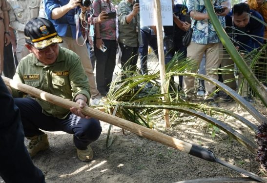 Aksi Nyata PLTB Buahkan Hasil Yang Memuaskan, Gubernur Al Haris: Pertanda Baik Bagi Warga