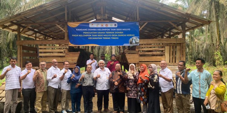 SKK Migas – PetroChina Serahkan 40 Ekor Domba dan Perlengkapan Obat-Obatan di Desa Sungai Keruh