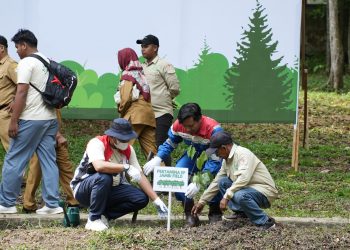 PHR Zona 1 Tanam 21.156 Pohon: Komitmen Hijau untuk Masa Depan Indonesia