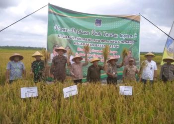 Panen Perdana Padi di Desa Rawa Medang, Bupati UAS Dorong Peningkatan Ketahanan Pangan