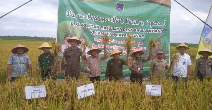 Panen Perdana Padi di Desa Rawa Medang, Bupati UAS Dorong Peningkatan Ketahanan Pangan