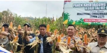 Panen Raya Jagung Serentak, Pemkot Sungai Penuh Apresiasi Polres Kerinci