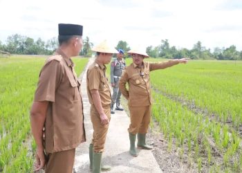 Tanam Padi Serentak & Kelompencapir Reborn 2025, Tanjab Barat Gaspol Wujudkan Ketahanan Pangan