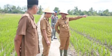 Tanam Padi Serentak & Kelompencapir Reborn 2025, Tanjab Barat Gaspol Wujudkan Ketahanan Pangan