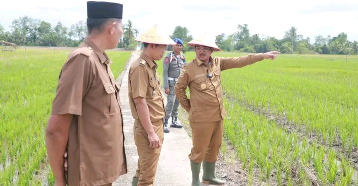 Tanam Padi Serentak & Kelompencapir Reborn 2025, Tanjab Barat Gaspol Wujudkan Ketahanan Pangan