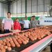 Gubernur Al Haris Tinjau Produksi Telur di Ibru Mestong, Dorong Pemanfaatan Produk Lokal untuk Tekan Inflasi dan MBG