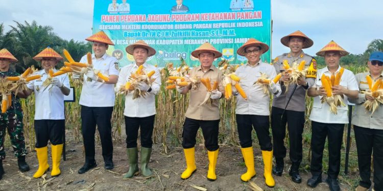 Panen Jagung di Merangin, Menko Pangan Sebut Capaian Pangan Tahun Ini Mengembirakan