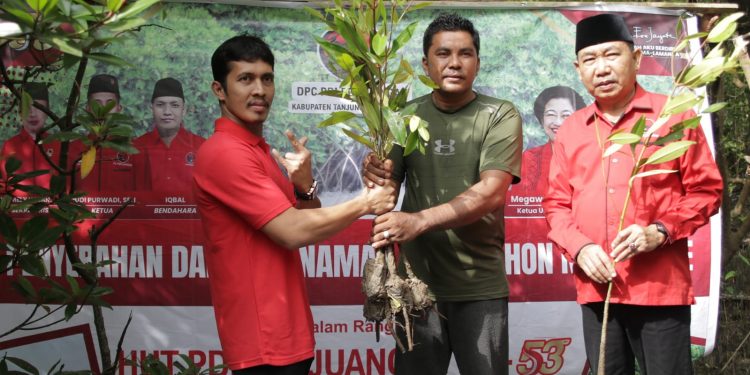 Rayakan HUT Megawati, DPC PDI Perjuangan Tanjung Jabung Barat Gelar Aksi Menanam Pohon Mangrove