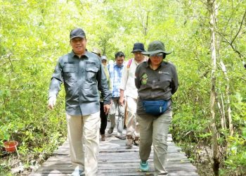 Wabup Katamso Sambut Tim Verifikasi Kementerian Kehutanan di Mangrove Pangkal Babu