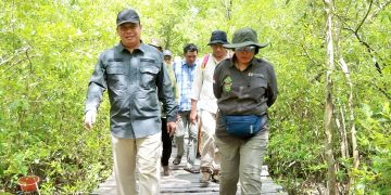 Wabup Katamso Sambut Tim Verifikasi Kementerian Kehutanan di Mangrove Pangkal Babu