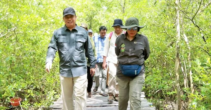 Wabup Katamso Sambut Tim Verifikasi Kementerian Kehutanan di Mangrove Pangkal Babu