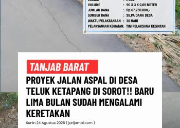 Proyek Peningkatan Jalan Aspal di Desa Teluk Ketapang Disorot, Baru Lima Bulan Sudah Mengalami Keretakan
