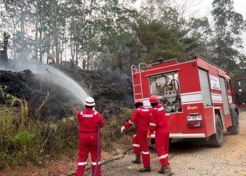 Pertamina EP Bantu Padamkan Lima Titik Kebakaran Lahan di Jambi