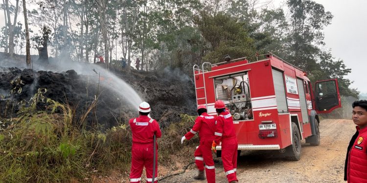 Pertamina EP Bantu Padamkan Lima Titik Kebakaran Lahan di Jambi