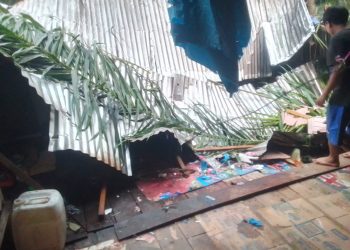 Sebuah Rumah milik Kamarudin Warga RT 14 Sungai Saren Hancur Dihantam Puting Beliung, Tertimpa Pohon Sawit