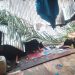 Sebuah Rumah milik Kamarudin Warga RT 14 Sungai Saren Hancur Dihantam Puting Beliung, Tertimpa Pohon Sawit